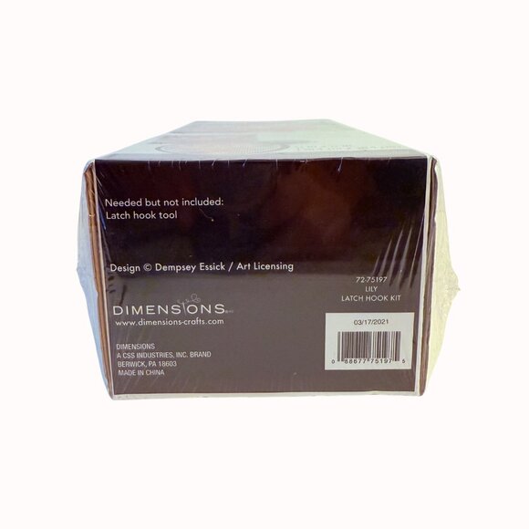 Dimensions Latch Hook Kit DIY Craft Lily Pad Dragonfly 12 X 12 Art Supply - Picture 6 of 8